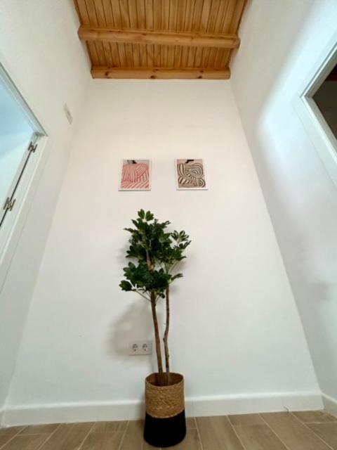 Gatu Casa Solera, Un Lugar Unico, "Preferente Para Mayores De 25 Anos Y Familias " El Puerto de Santa María Buitenkant foto