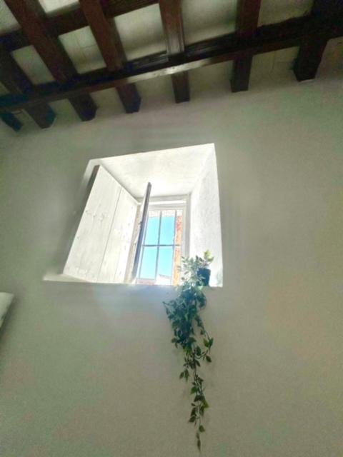 Gatu Casa Solera, Un Lugar Unico, "Preferente Para Mayores De 25 Anos Y Familias " El Puerto de Santa María Buitenkant foto